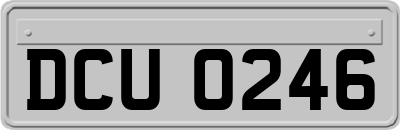 DCU0246