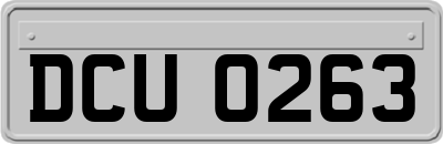 DCU0263