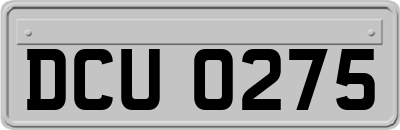DCU0275