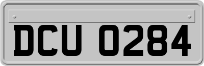 DCU0284