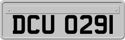 DCU0291