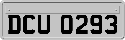 DCU0293
