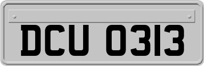 DCU0313