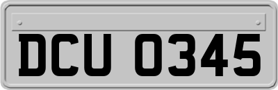 DCU0345