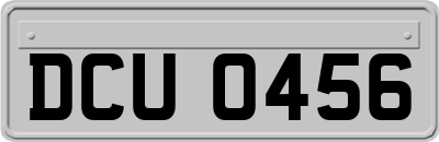 DCU0456