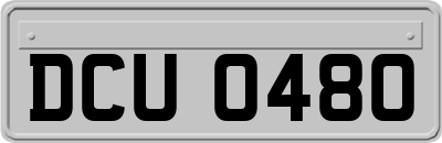 DCU0480