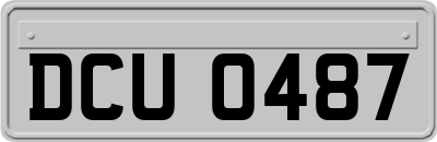 DCU0487