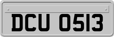 DCU0513