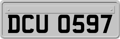 DCU0597