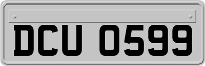 DCU0599