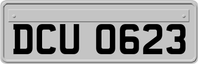 DCU0623