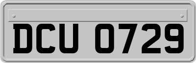 DCU0729