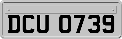 DCU0739