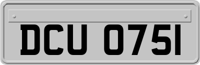 DCU0751
