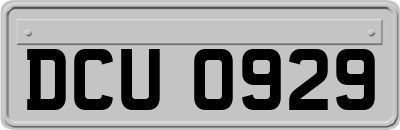 DCU0929