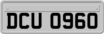 DCU0960