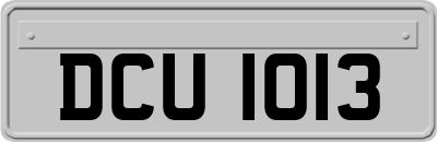 DCU1013