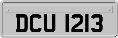 DCU1213