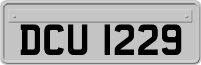 DCU1229
