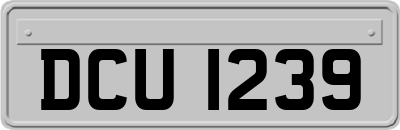 DCU1239