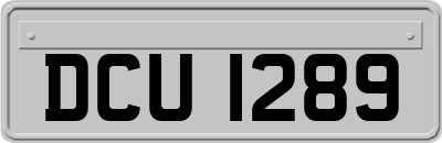 DCU1289