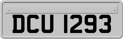DCU1293