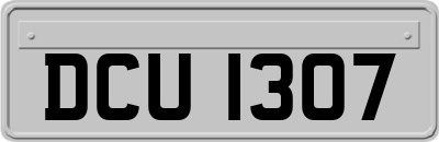 DCU1307