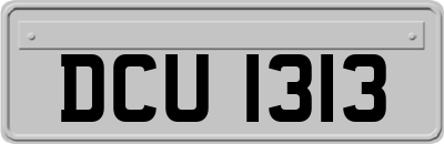 DCU1313