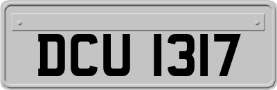 DCU1317