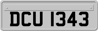 DCU1343