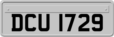 DCU1729