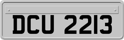DCU2213