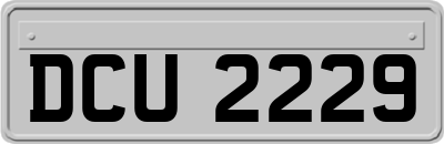 DCU2229