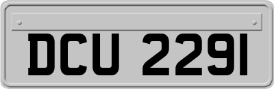 DCU2291