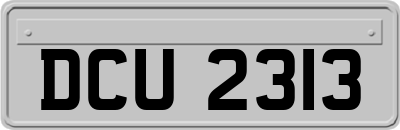 DCU2313