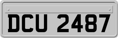 DCU2487