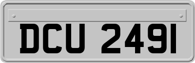 DCU2491