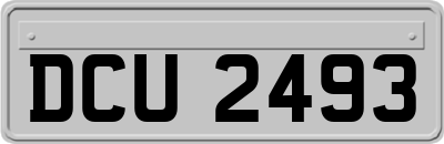 DCU2493