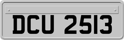 DCU2513
