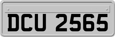 DCU2565