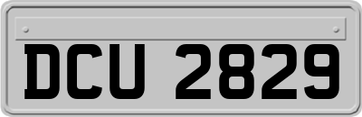 DCU2829