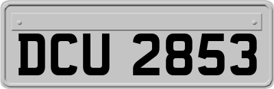 DCU2853