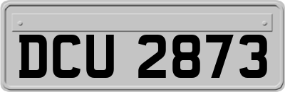DCU2873