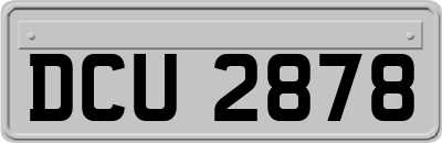 DCU2878
