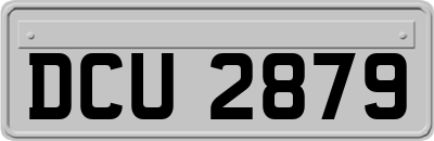 DCU2879