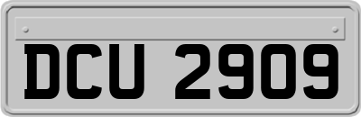 DCU2909