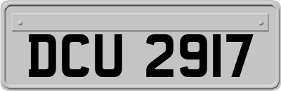 DCU2917