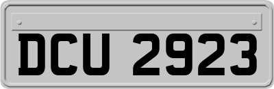 DCU2923