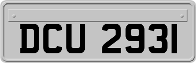 DCU2931