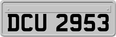 DCU2953